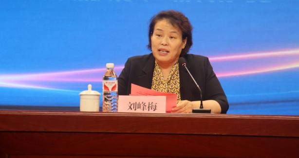 山东省泰安市委原常委、市政府原副市长刘峰梅被双开